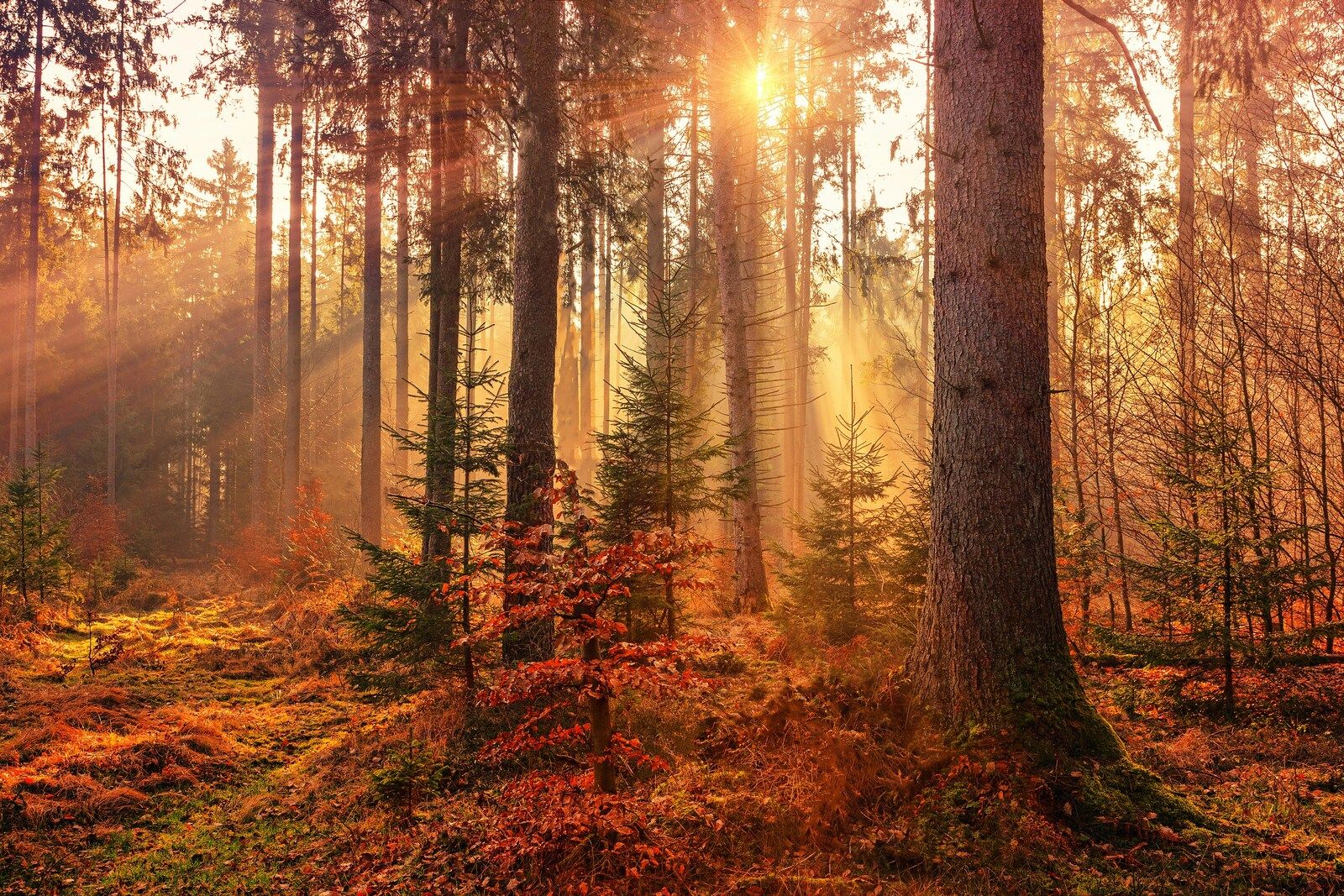 landscapes sample 10