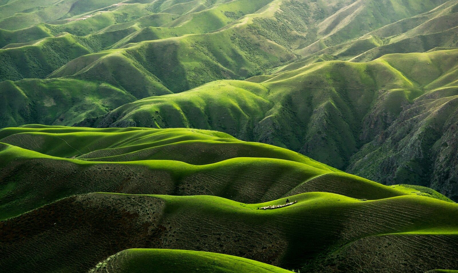 landscapes sample 16