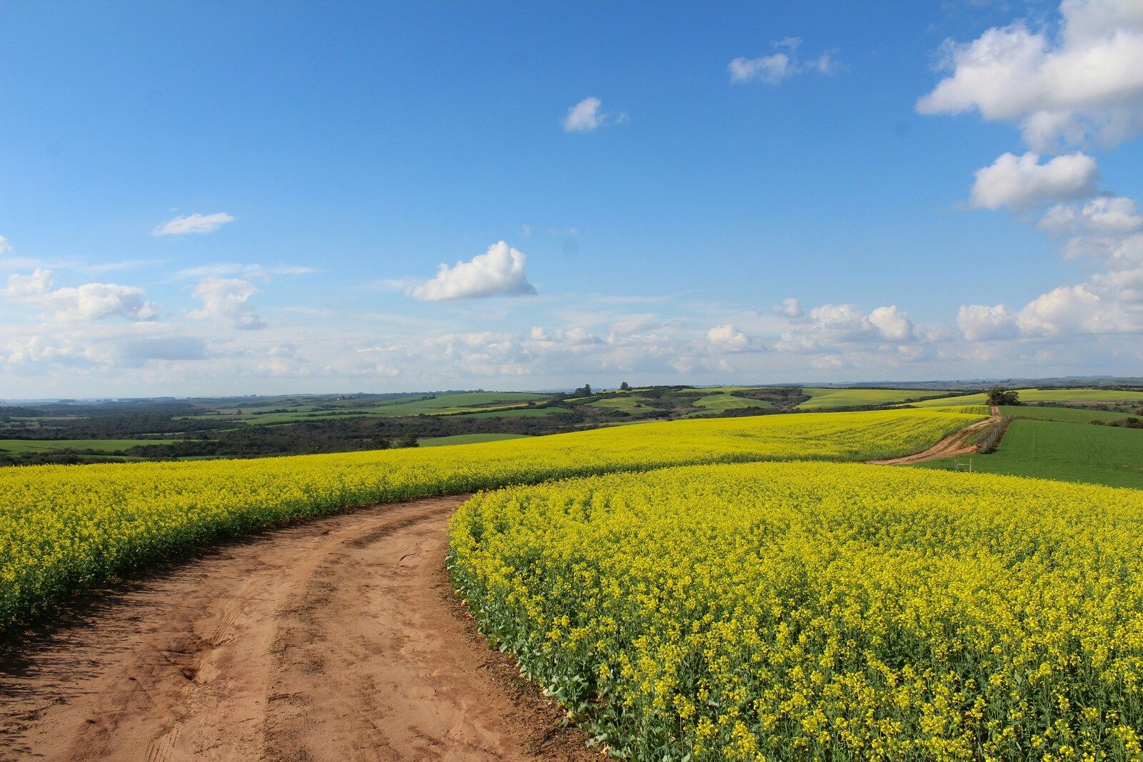 landscapes sample 17