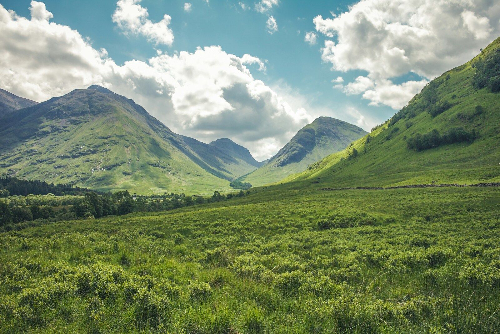 landscapes sample 5
