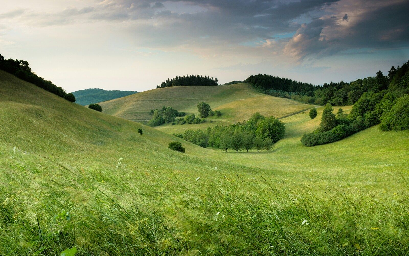 landscapes sample 6