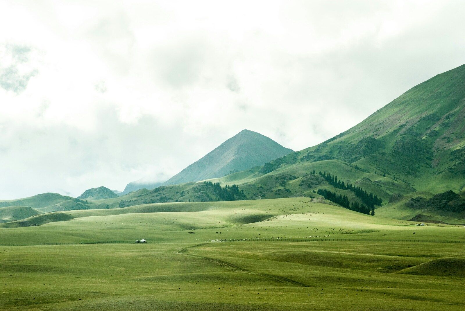 landscapes sample 8