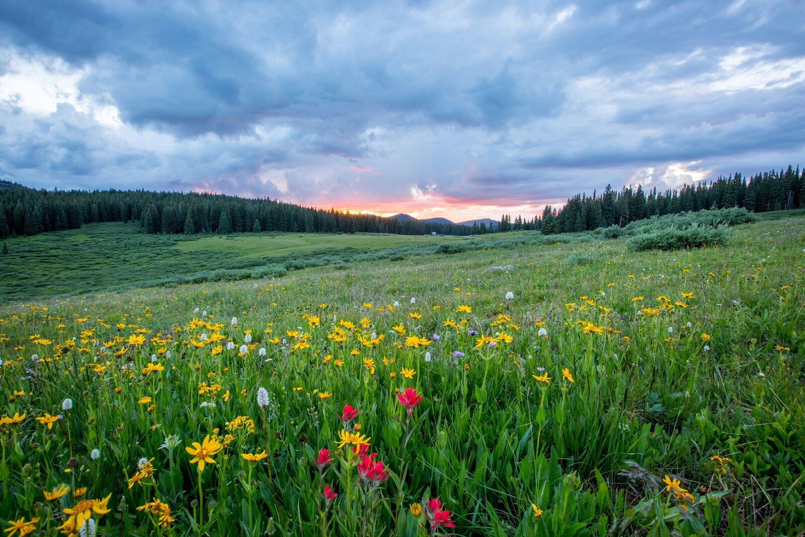 landscapes sample 9